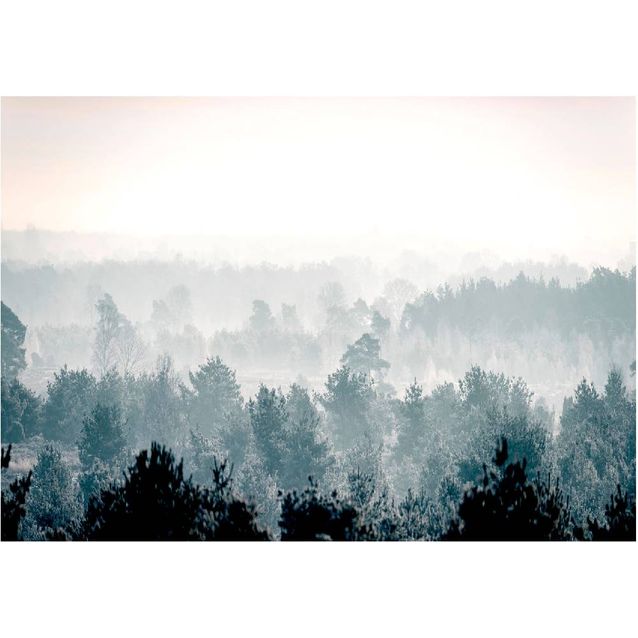 Kuvatapetti Artgeist Winter Forest eri kokoja