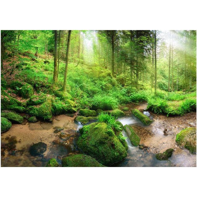 Kuvatapetti Artgeist Humid Forest eri kokoja