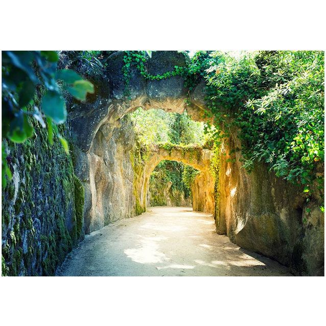 Kuvatapetti Artgeist Via naturae eri kokoja