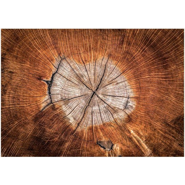 Kuvatapetti Artgeist The Soul of a Tree eri kokoja