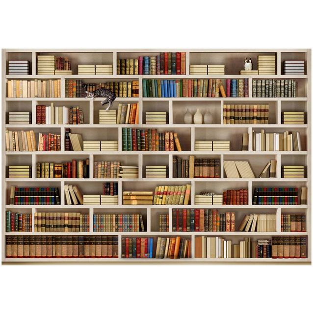 Kuvatapetti Artgeist Home library eri kokoja