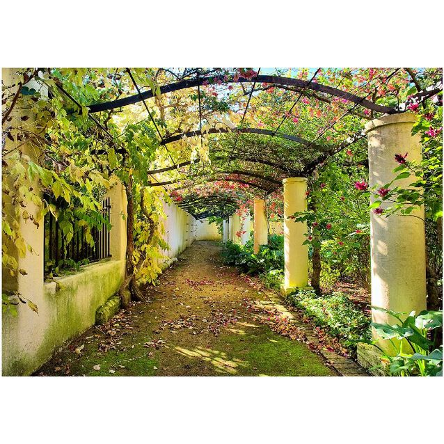 Kuvatapetti Artgeist Pergola eri kokoja