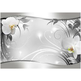 Kuvatapetti Artgeist Silver Abstract eri kokoja