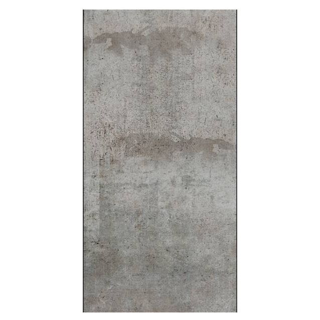 Tapetti Artgeist Gray pigeon 50x1000cm