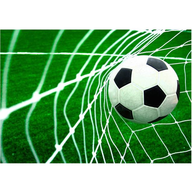 Sisustustarra Artgeist Goal! eri kokoja