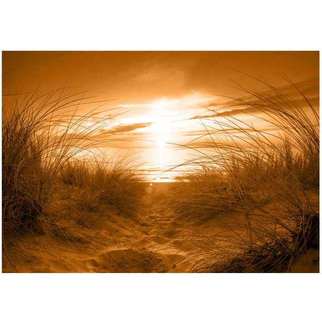 Sisustustarra Artgeist Sepia Beach eri kokoja