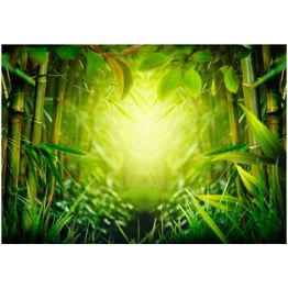 Sisustustarra Artgeist Forest fairy eri kokoja