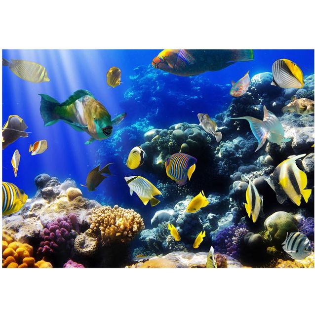 Sisustustarra Artgeist Underwater adventure eri kokoja