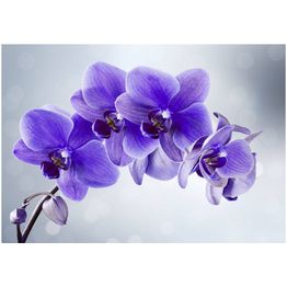 Sisustustarra Artgeist Parting hour eri kokoja