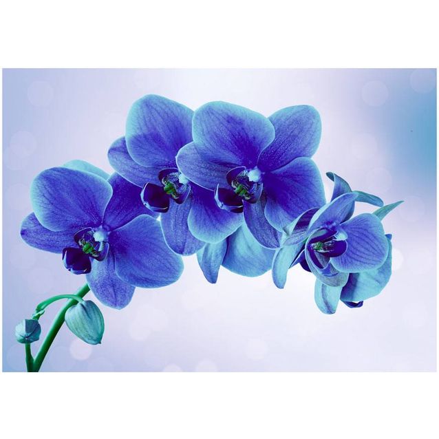 Sisustustarra Artgeist Moments of solitude eri kokoja