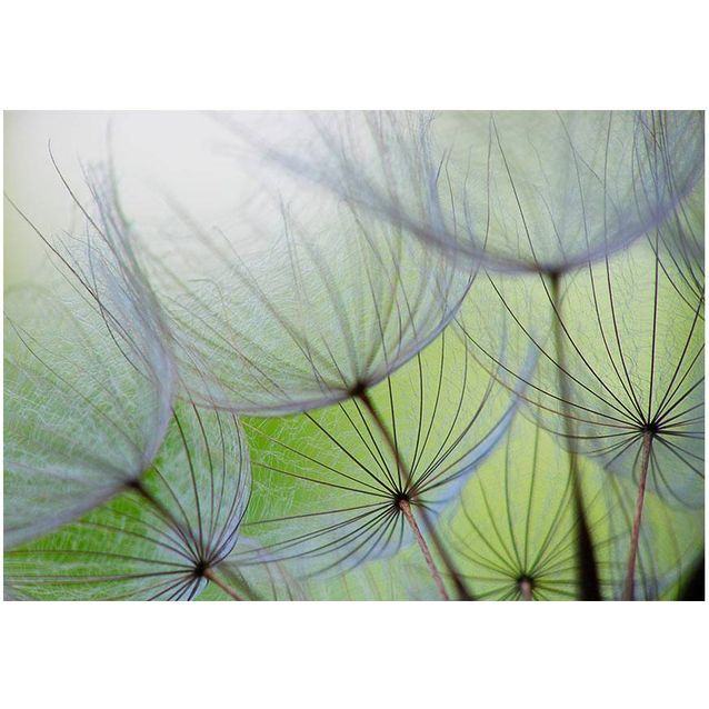 Sisustustarra Artgeist Fleeting moments eri kokoja