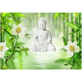 Sisustustarra Artgeist Buddha and nature eri kokoja