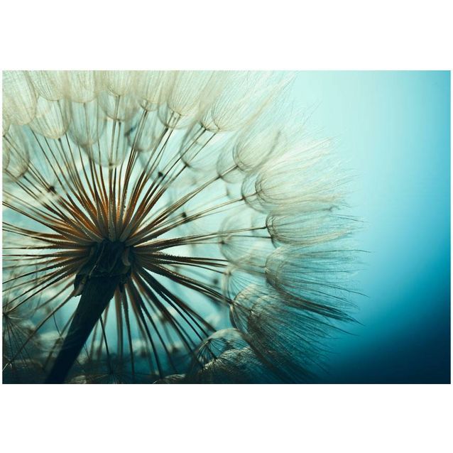 Sisustustarra Artgeist Blue Fascination eri kokoja