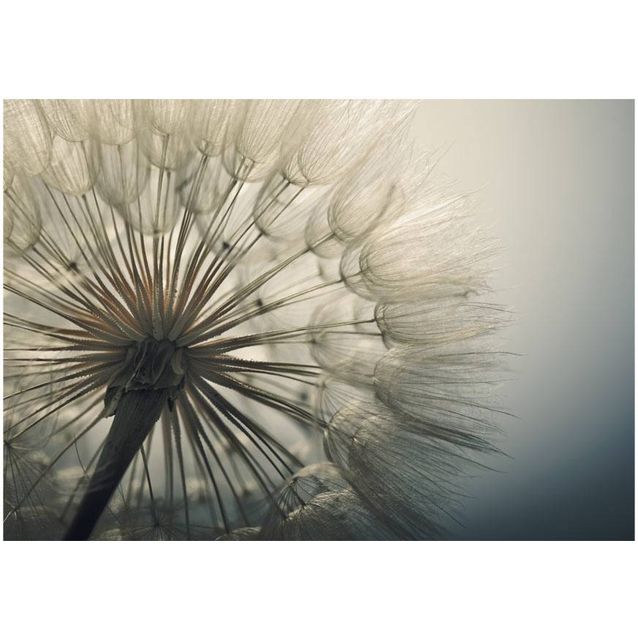 Sisustustarra Artgeist Ephemerality eri kokoja