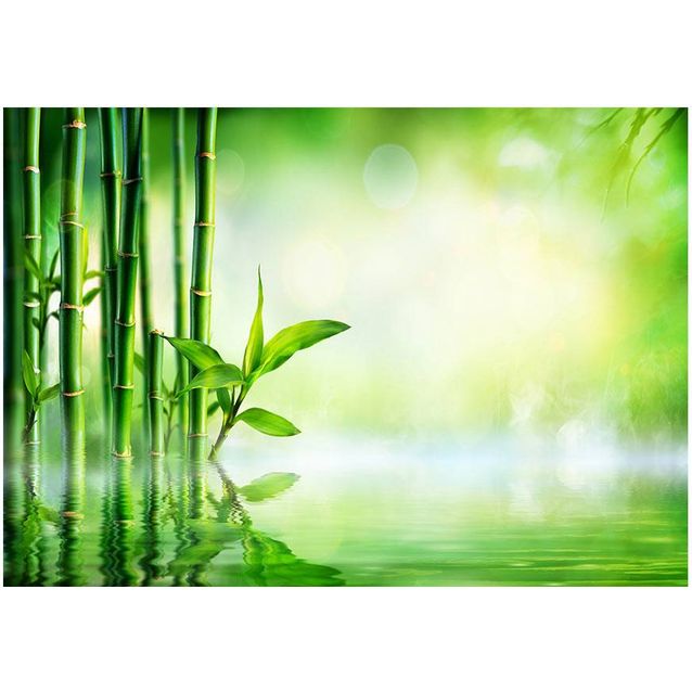 Sisustustarra Artgeist Bamboo Grove eri kokoja