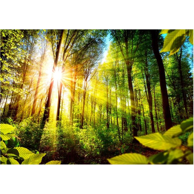 Sisustustarra Artgeist Forest Hideout eri kokoja