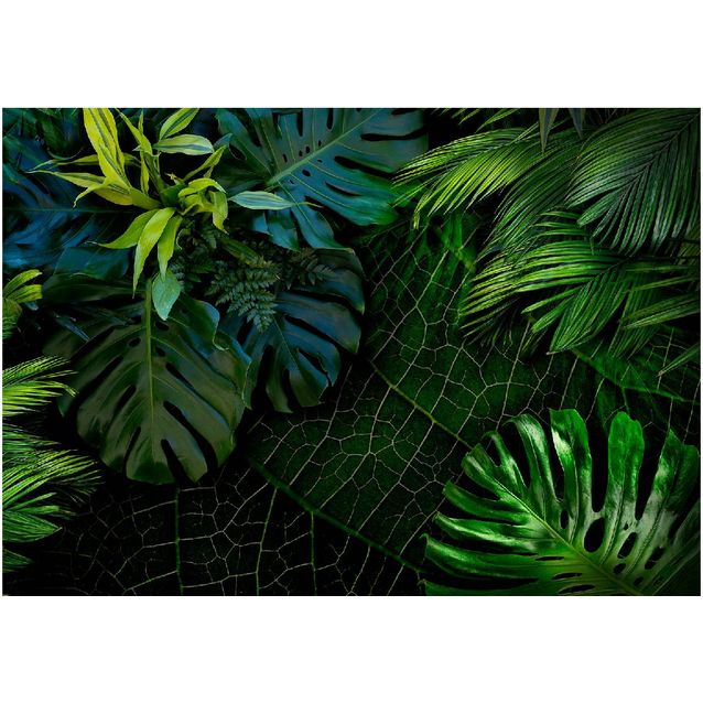 Sisustustarra Artgeist Dark Jungle eri kokoja