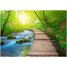 Sisustustarra Artgeist Green forest eri kokoja