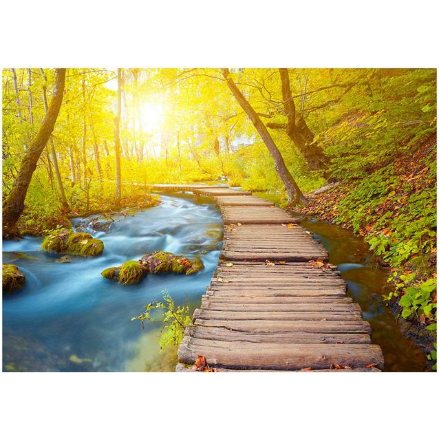 Sisustustarra Artgeist Forest eri kokoja