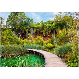 Sisustustarra Artgeist Green oasis eri kokoja