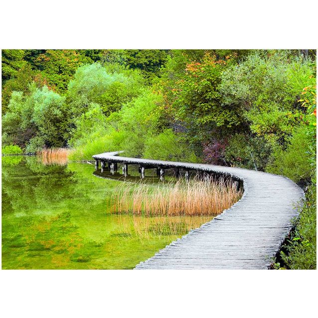 Sisustustarra Artgeist Beautiful green eri kokoja