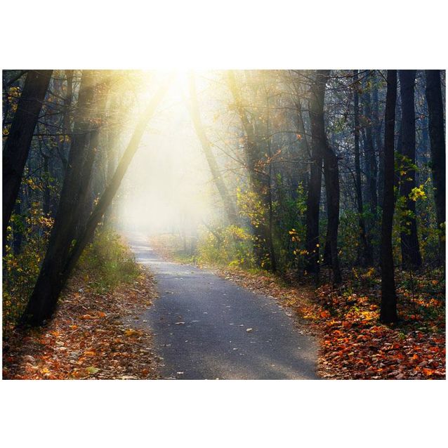 Sisustustarra Artgeist Road through the Forest eri kokoja