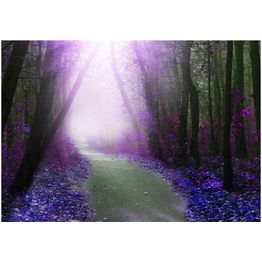 Sisustustarra Artgeist Purple path eri kokoja