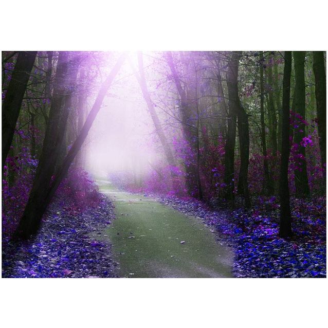 Sisustustarra Artgeist Purple path eri kokoja