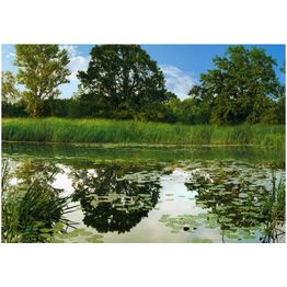 Sisustustarra Artgeist The Magic Pond eri kokoja