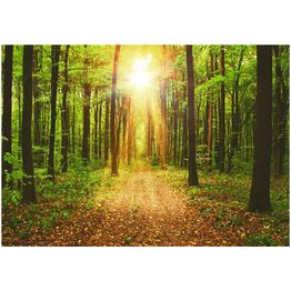 Sisustustarra Artgeist Mirror of Nature  eri kokoja