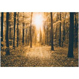 Sisustustarra Artgeist Magical Light eri kokoja