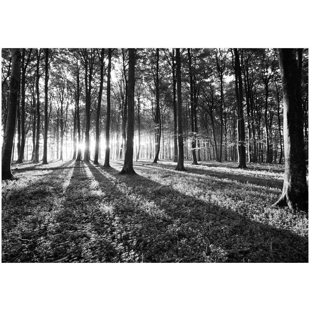 Sisustustarra Artgeist Grey Wilderness eri kokoja