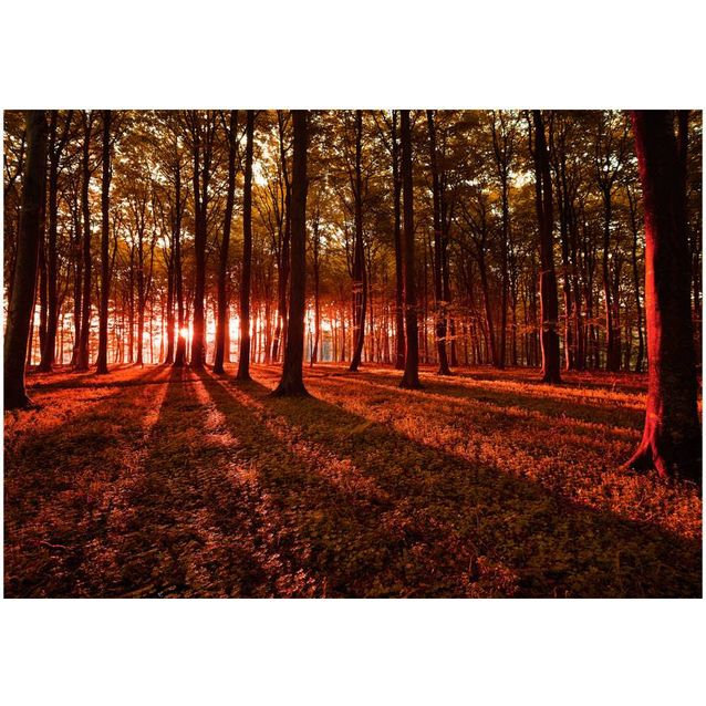 Sisustustarra Artgeist Autumn Morning eri kokoja