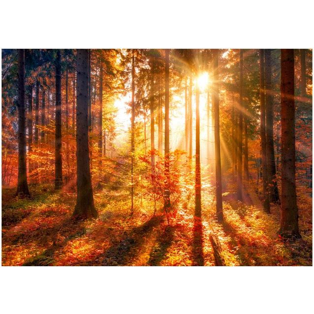 Sisustustarra Artgeist Autumnal Time eri kokoja