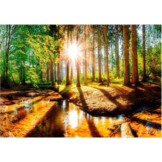 Sisustustarra Artgeist Marvelous Forest eri kokoja