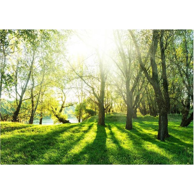 Sisustustarra Artgeist Sunny May Day eri kokoja