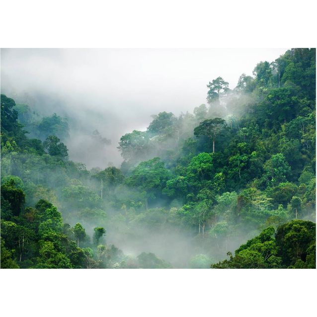 Sisustustarra Artgeist Morning Fog eri kokoja