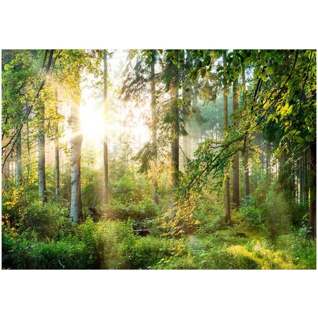 Sisustustarra Artgeist Untamed Nature eri kokoja