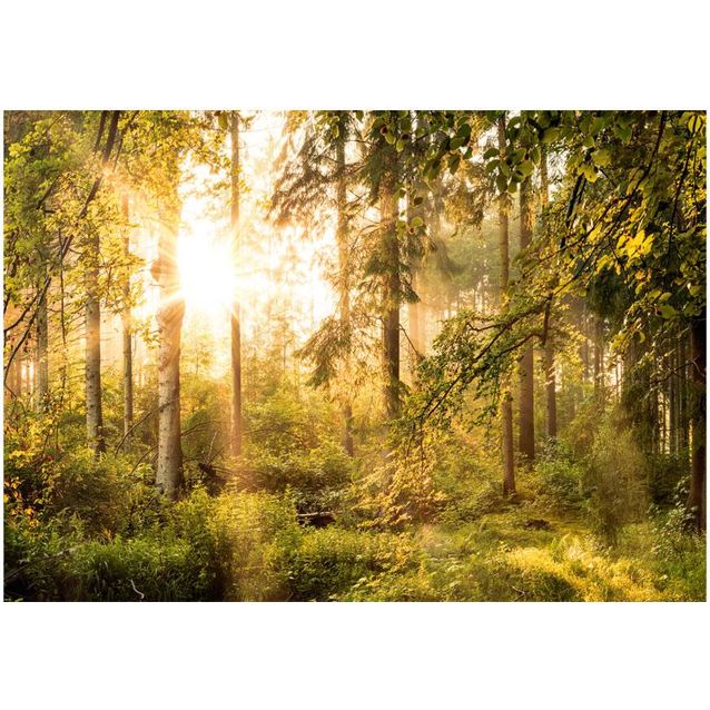 Sisustustarra Artgeist Mystic of the Morning eri kokoja