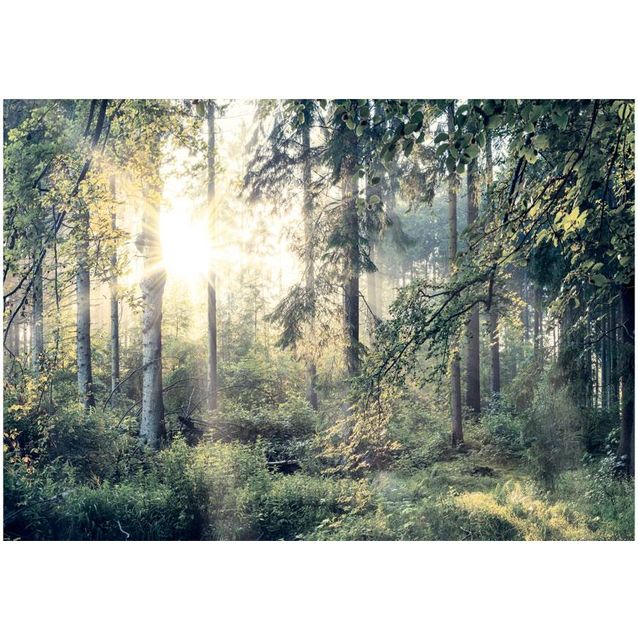 Sisustustarra Artgeist Tales of a Forest eri kokoja