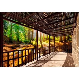 Sisustustarra Artgeist Getting Back to Nature eri kokoja