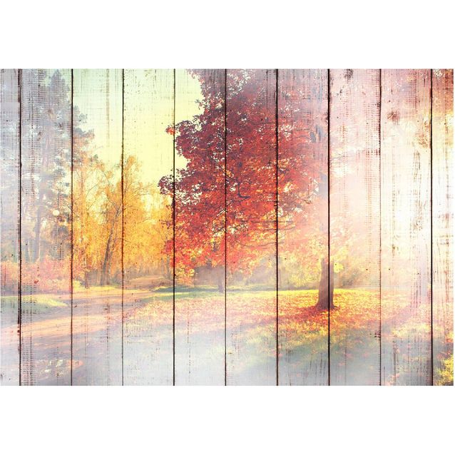 Sisustustarra Artgeist Autumn Sun eri kokoja