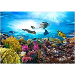 Sisustustarra Artgeist Coral reef eri kokoja