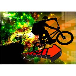 Sisustustarra Artgeist Bicycle Tricks eri kokoja