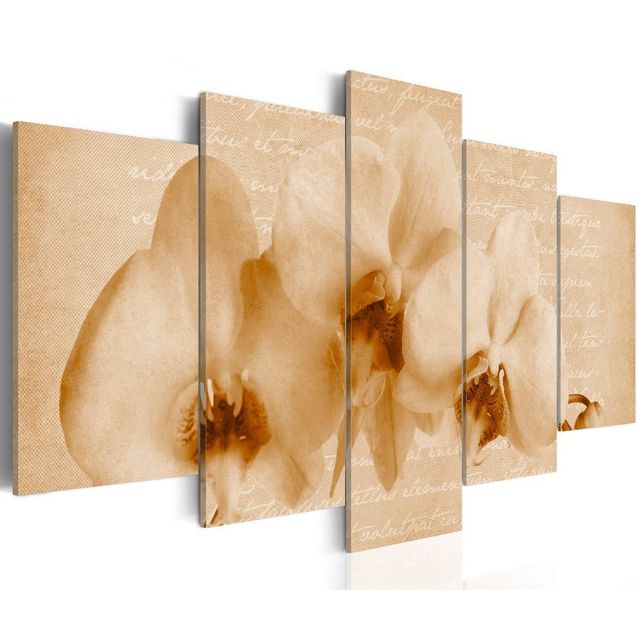 Taulu Artgeist Orkidea, eri kokoja