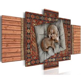 Canvas-taulu Artgeist Soft kitty warm kitty, eri kokoja