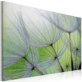 Canvas-taulu Artgeist Dandelion in the wind, eri kokoja