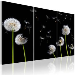 Canvas-taulu Artgeist Dandelions family, eri kokoja