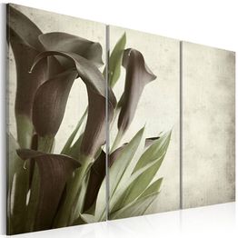 Canvas-taulu Artgeist Callas - vintage, eri kokoja
