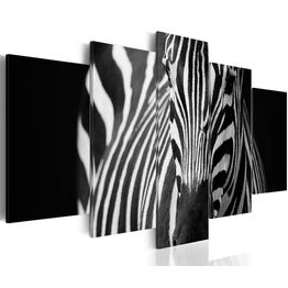 Canvas-taulu Artgeist Zebra look, eri kokoja